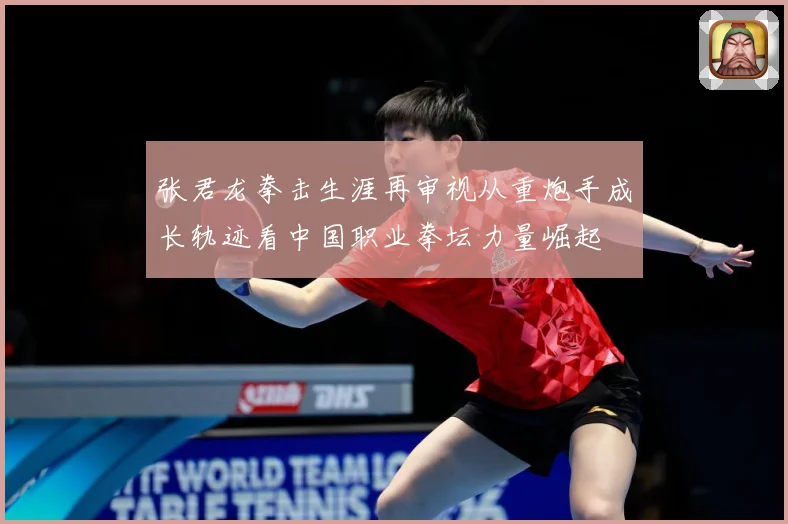 张君龙拳击生涯再审视从重炮手成长轨迹看中国职业拳坛力量崛起