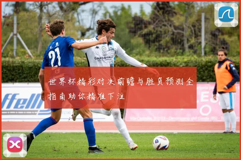 世界杯精彩对决前瞻与胜负预测全指南助你精准下注
