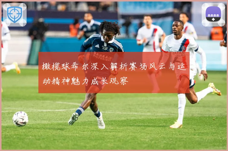 橄榄球希尔深入解析赛场风云与运动精神魅力成长观察