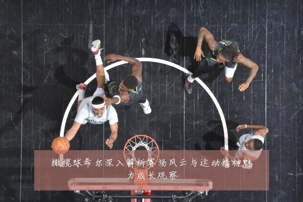 橄榄球希尔深入解析赛场风云与运动精神魅力成长观察