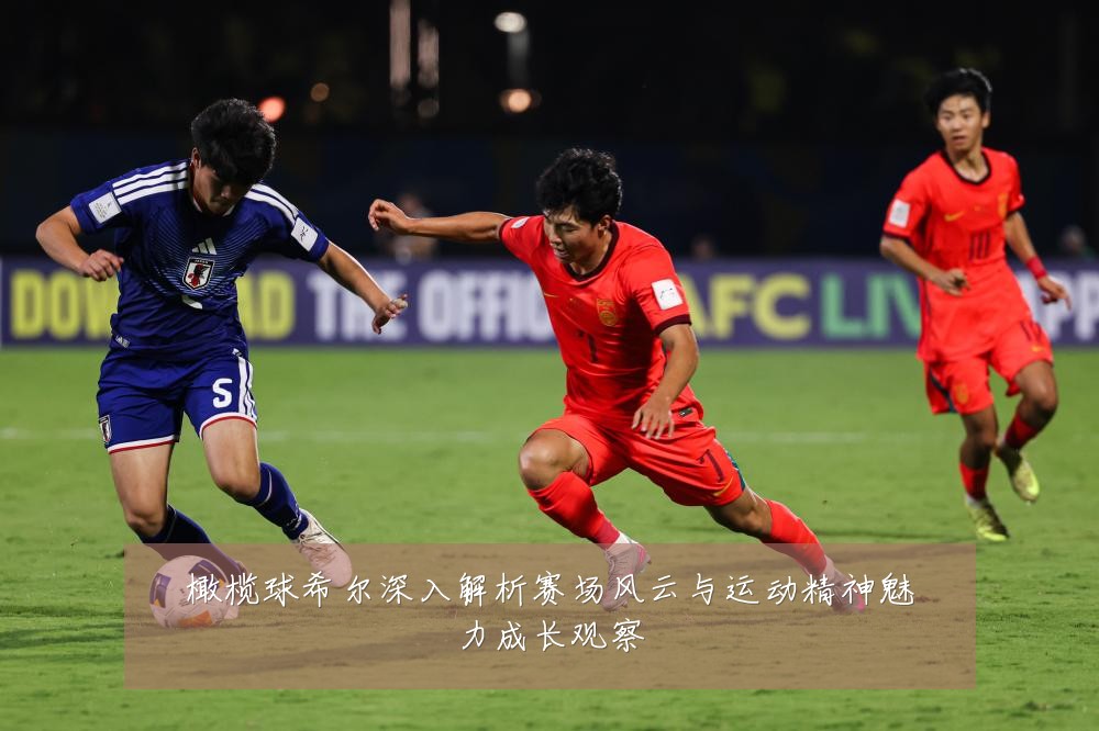 橄榄球希尔深入解析赛场风云与运动精神魅力成长观察